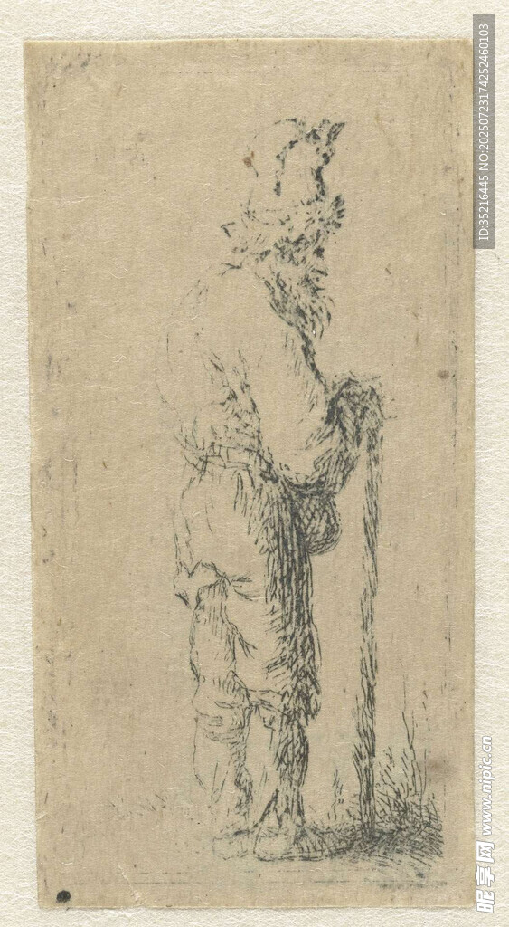 古老树木素描图