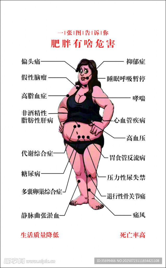 一张图告诉你肥胖的危害