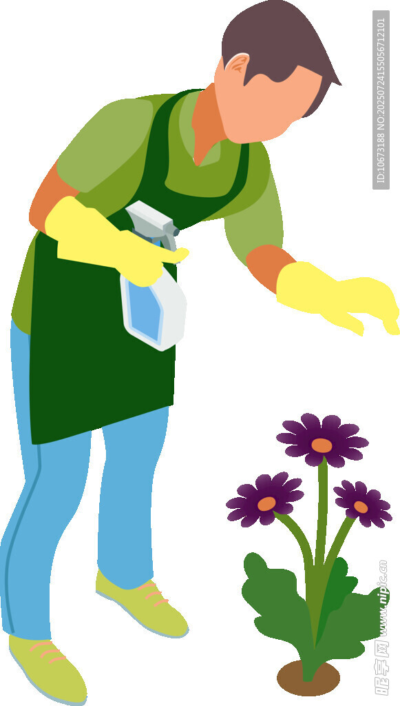 男子给紫色花卉喷洒液体