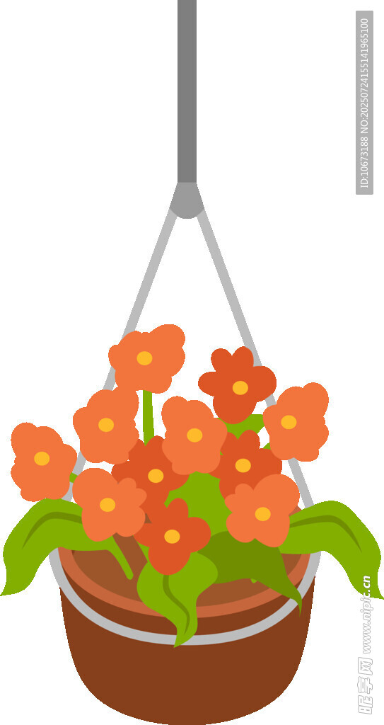 悬挂的橙色盆栽花卉