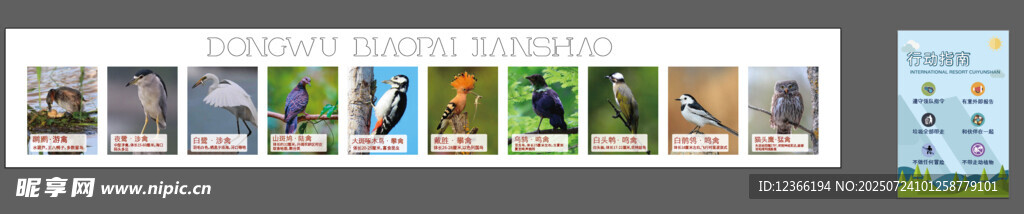 动物介绍 多彩图标集合