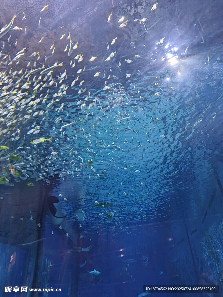 海底