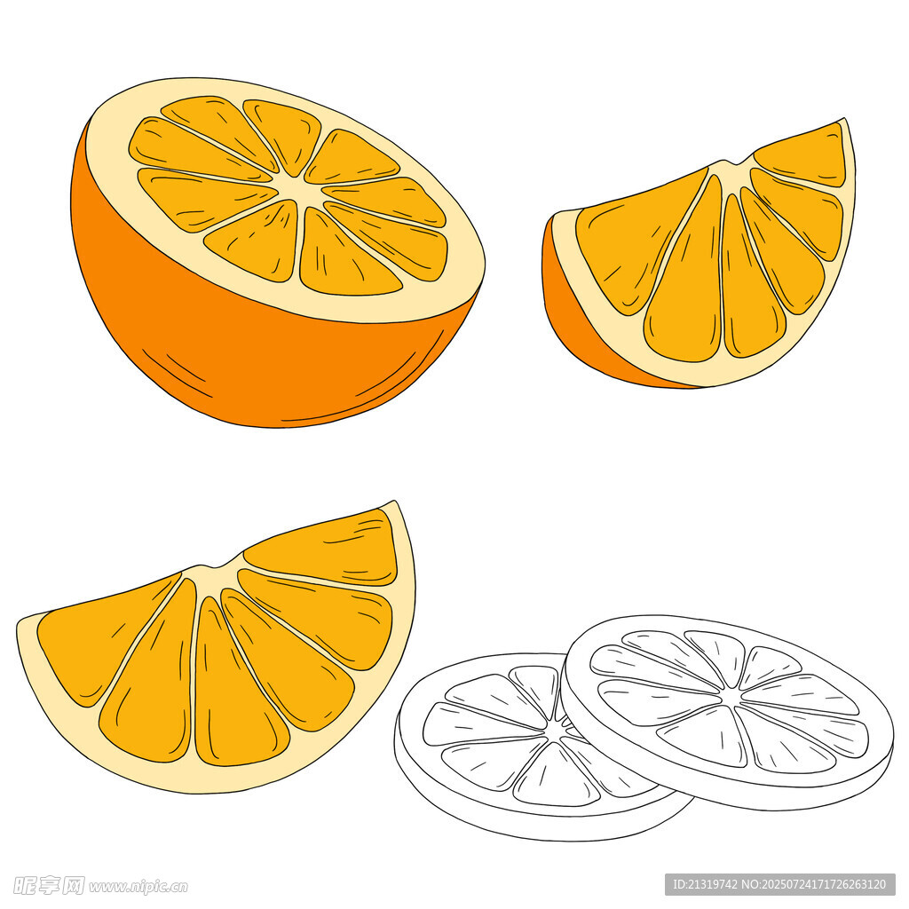 橙子插画