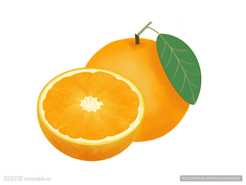 卡通橙子插画