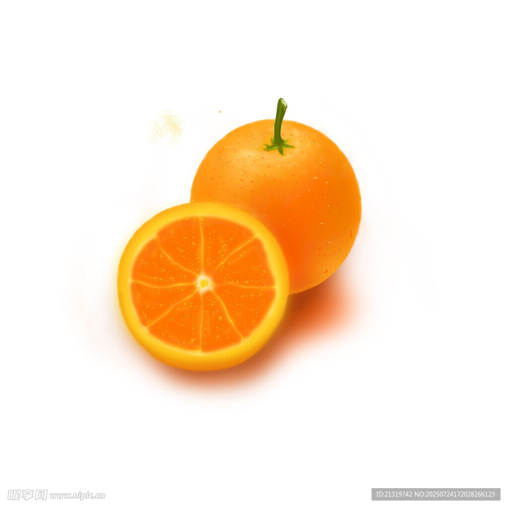 橙子插画