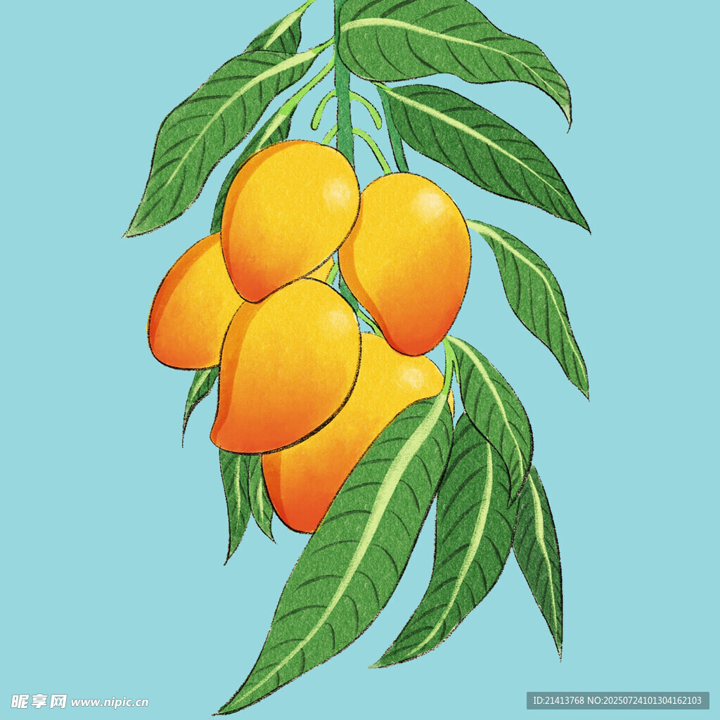 枝头饱满黄芒果插画