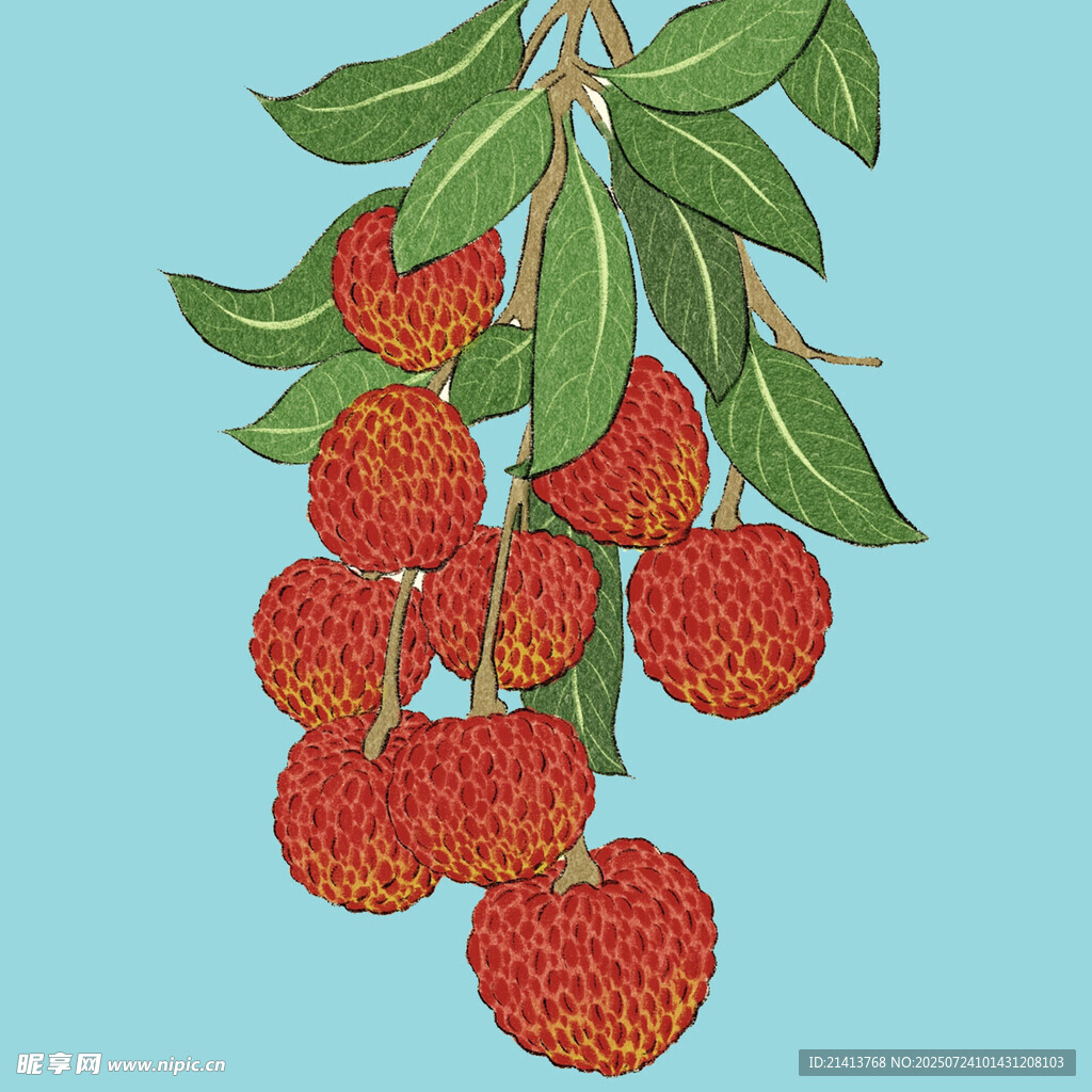 枝头红荔枝