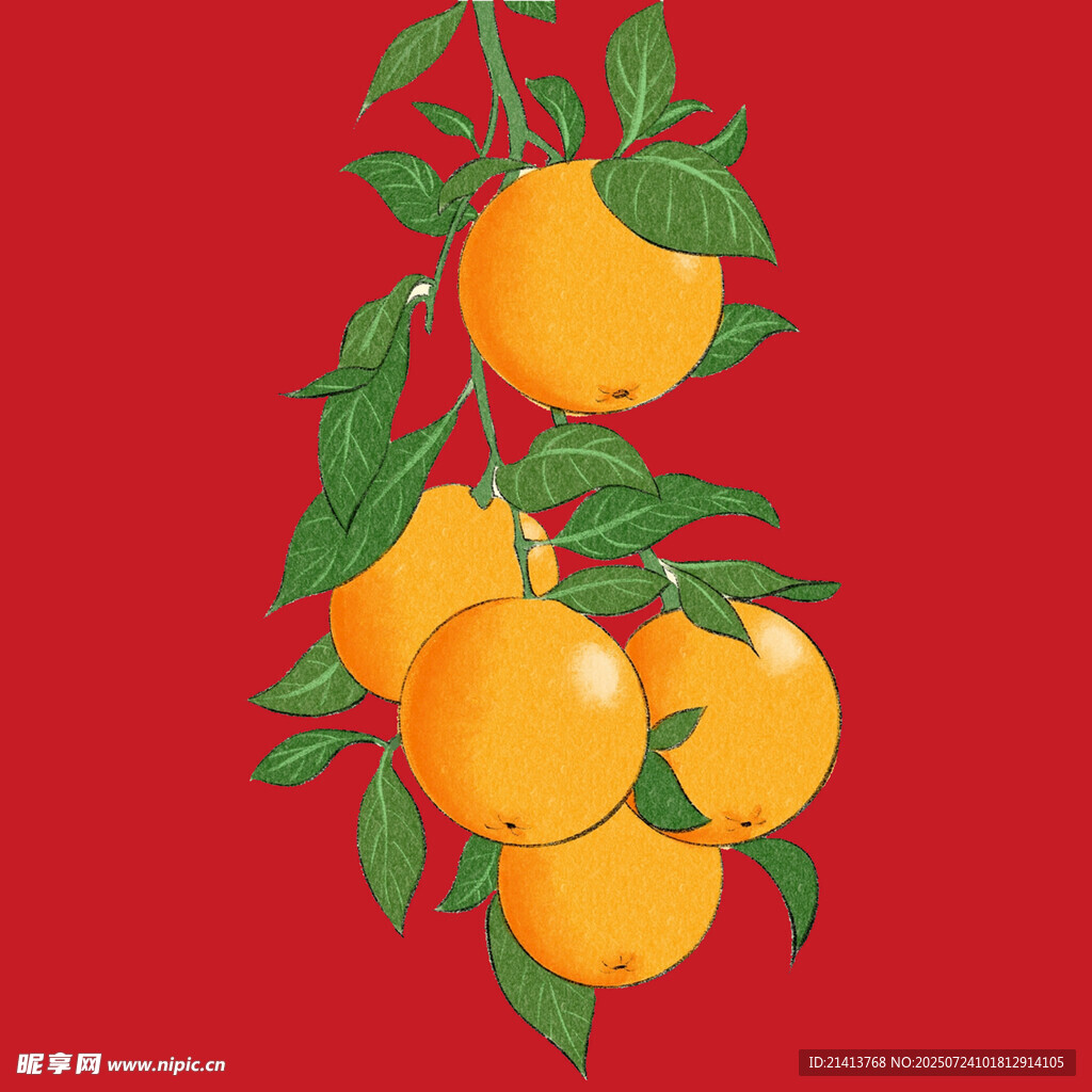 红底枝头鲜橙插画