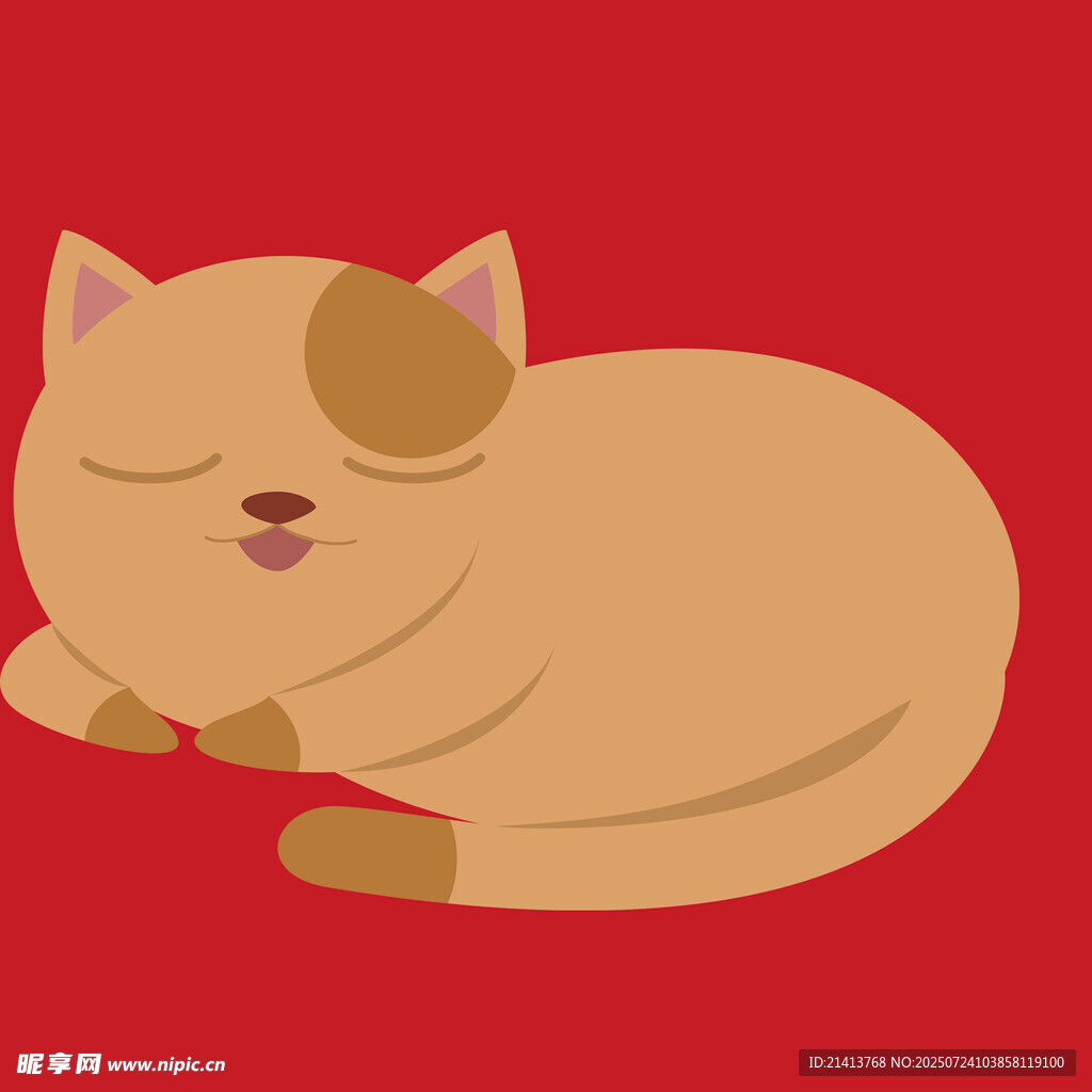 酣睡的可爱猫咪