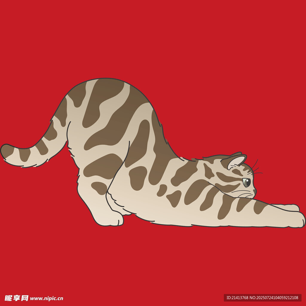 伸展的斑纹猫
