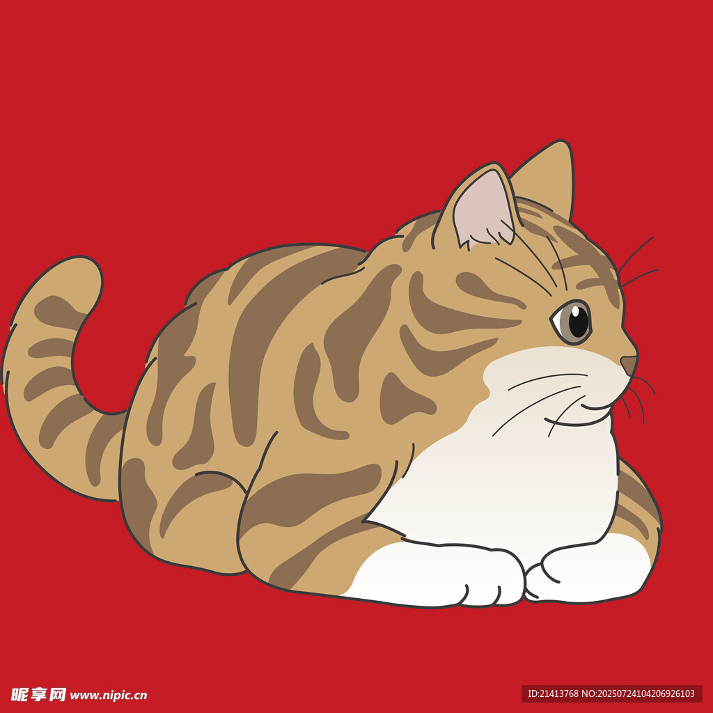 趴着的斑纹猫咪