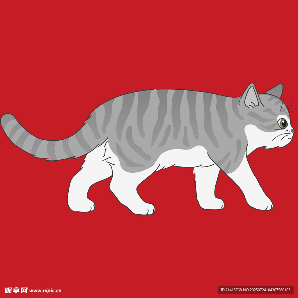 行走的灰条纹猫咪