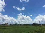 蓝天白云下的广袤田野