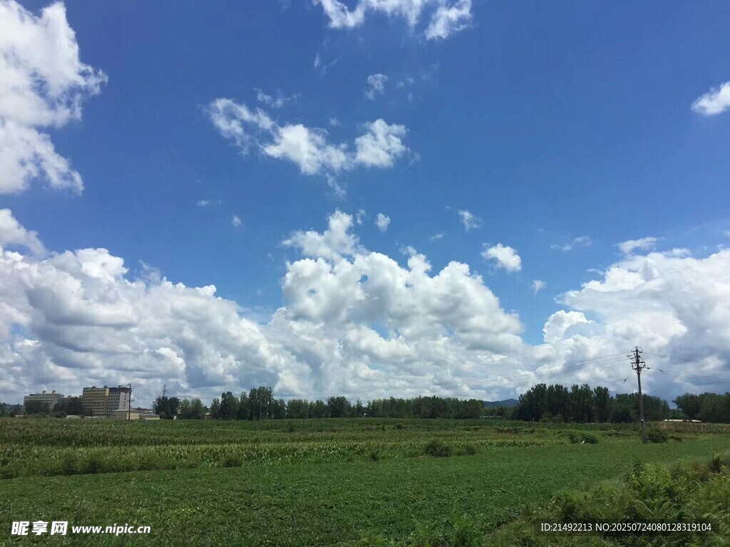 蓝天白云下的广袤田野