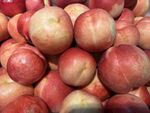 新鲜饱满的油桃堆叠