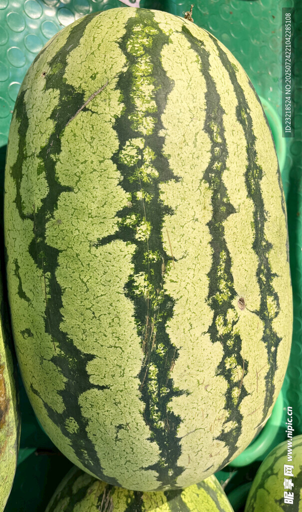 宁夏硒砂瓜