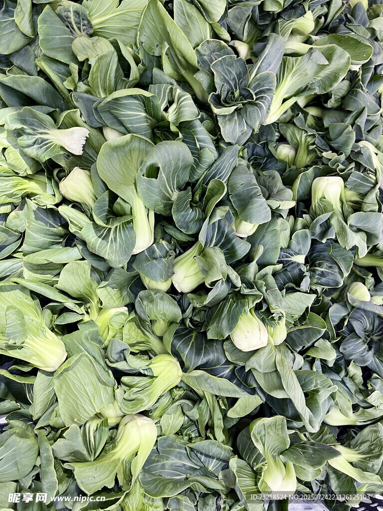 青菜仔