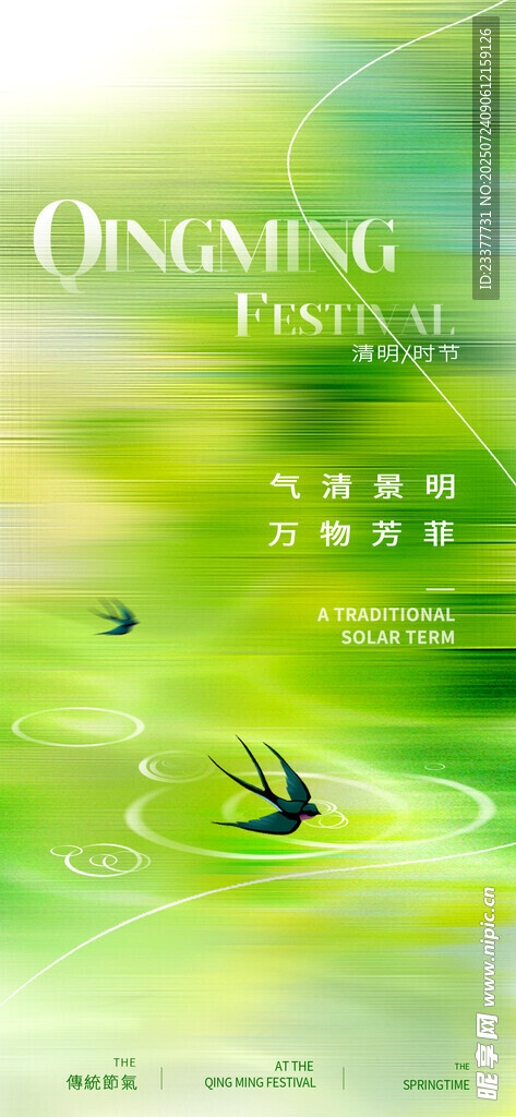 燕子清明节春分谷雨春天绿色 