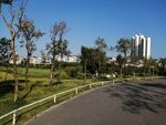 公园弯道风景