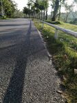 公园的步道