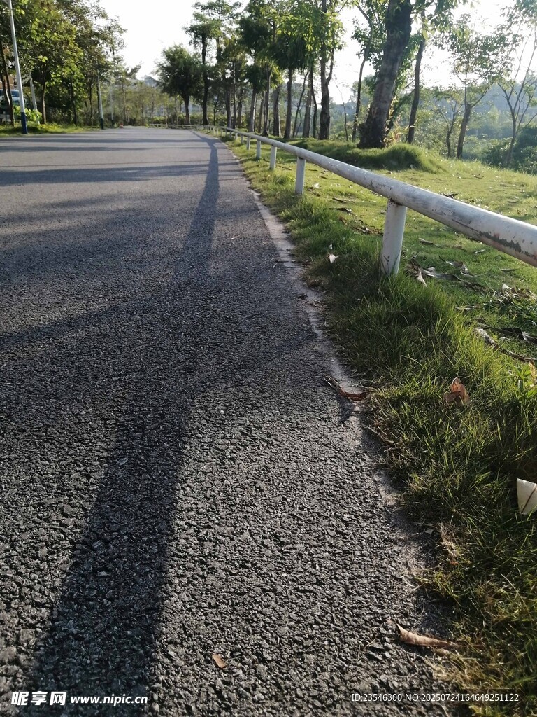 公园的步道
