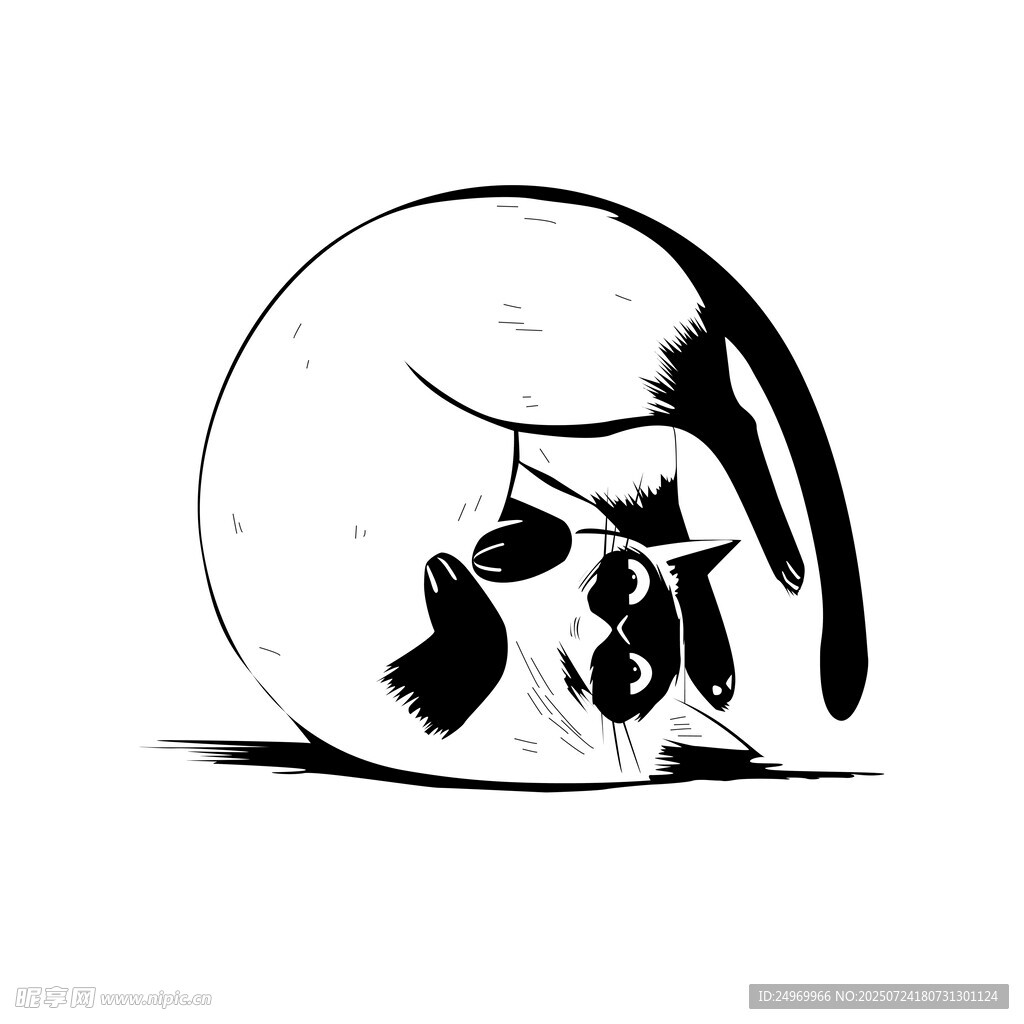 简约风格骷髅头插画