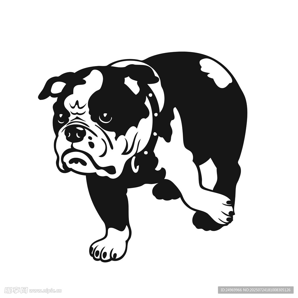 黑白斗牛犬图案