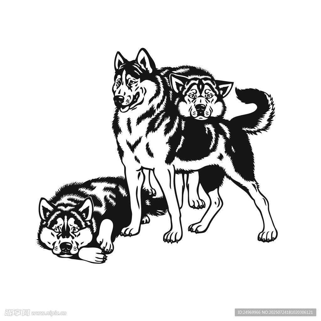 三只狗狗的黑白插画