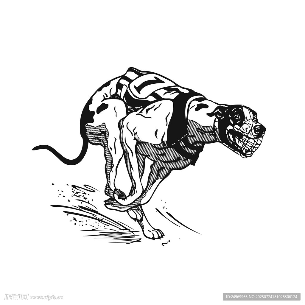 奔跑的猎犬