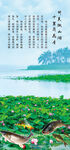 夏日荷塘美景