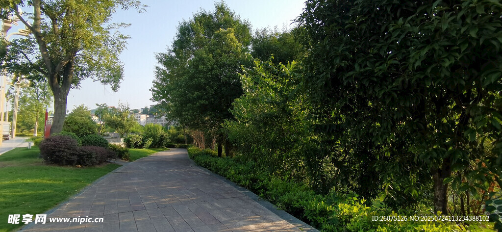 公园里的林间幽静小路