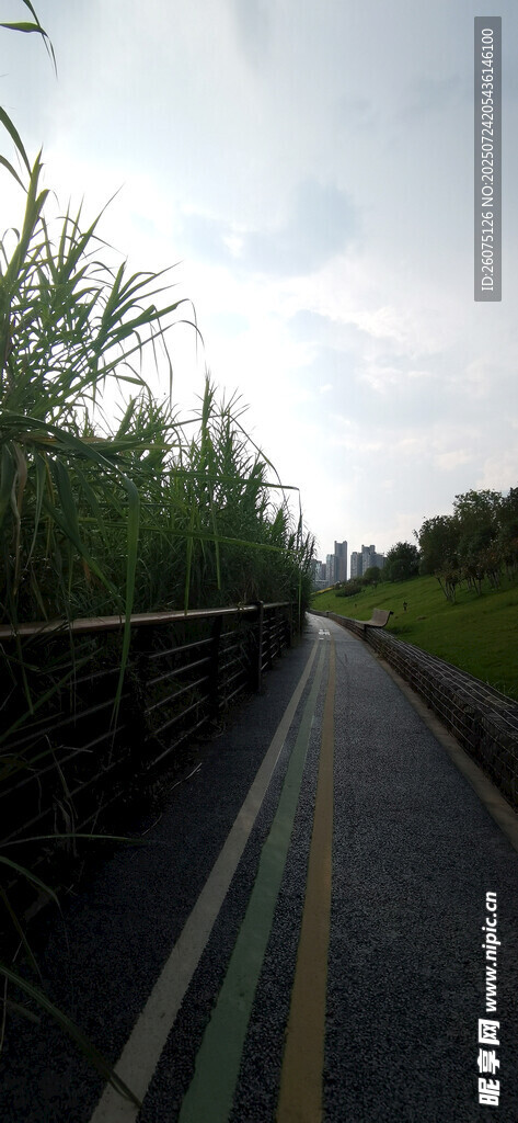 昏暗天空下的乡间骑行道