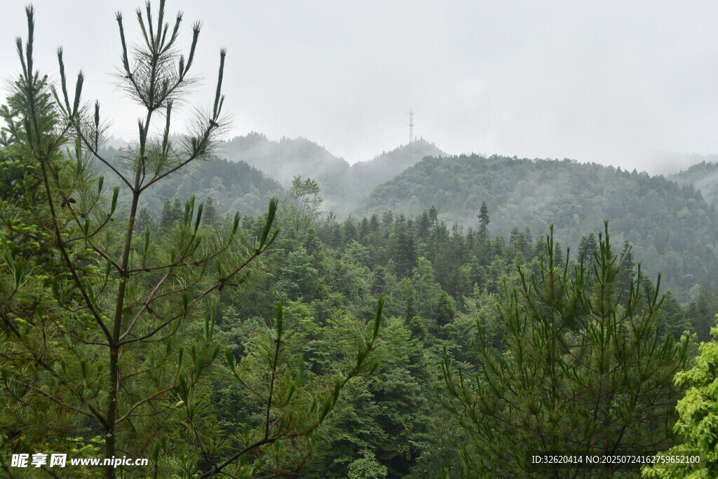 山林云雾间的葱郁景致