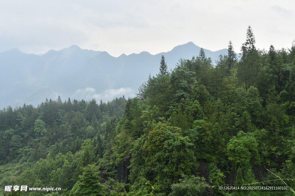 山林葱郁 远处山峦隐现