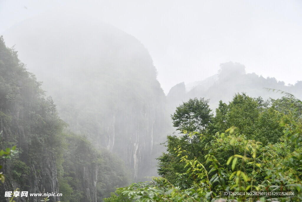 云雾缭绕的山林美景