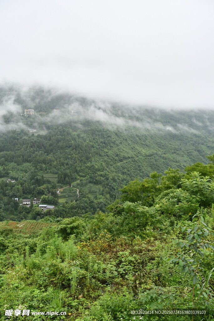 云雾缭绕的翠绿山间美景
