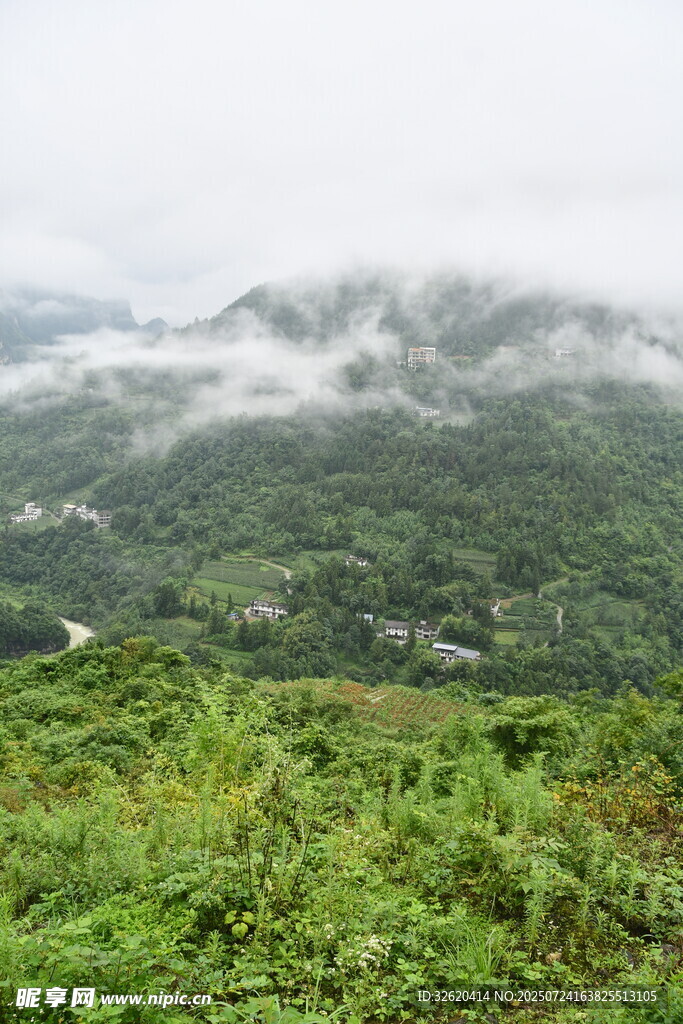 山间云雾缭绕的绿意景致