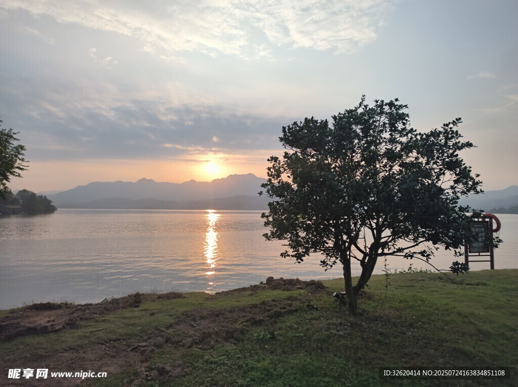 湖畔孤树迎日出美景
