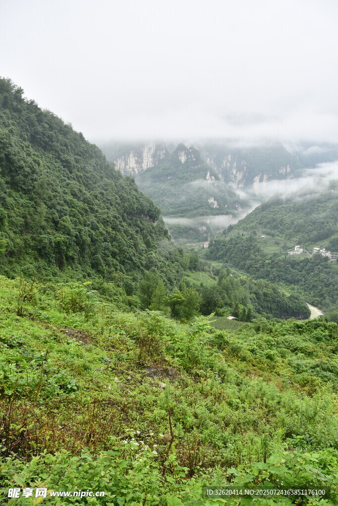 山间绿野风光