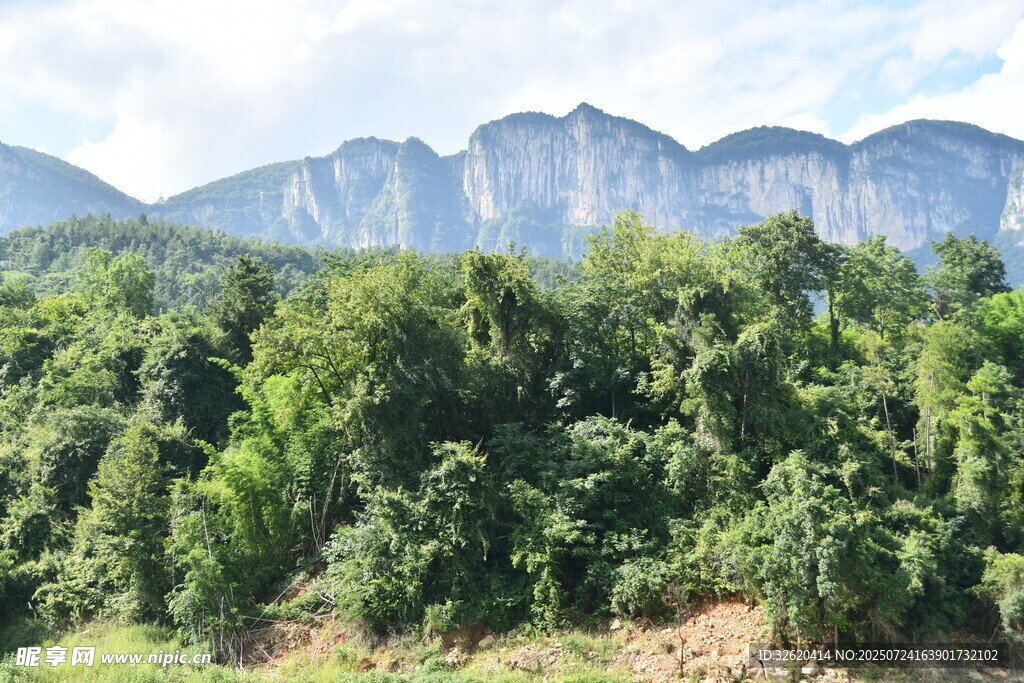 山林葱郁 远处山峦叠嶂