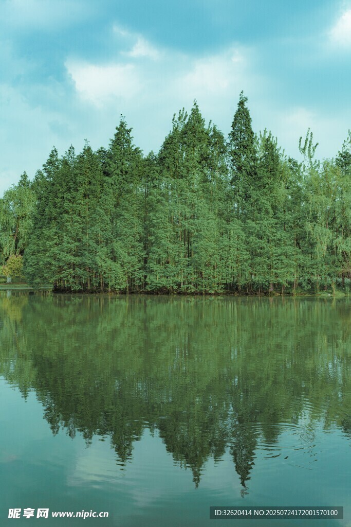 宁静湖畔绿树倒影美景