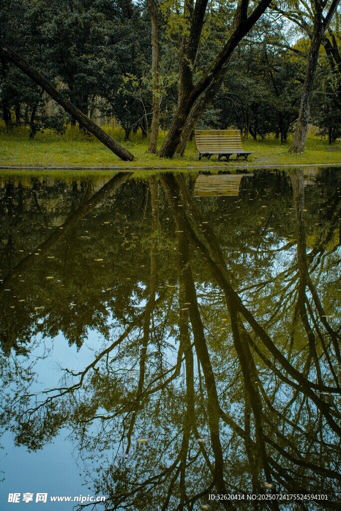 林间静谧湖水倒影美景