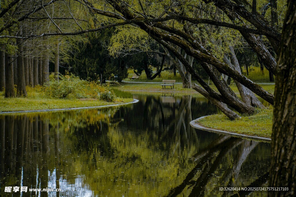 宁静河畔树林倒影美景
