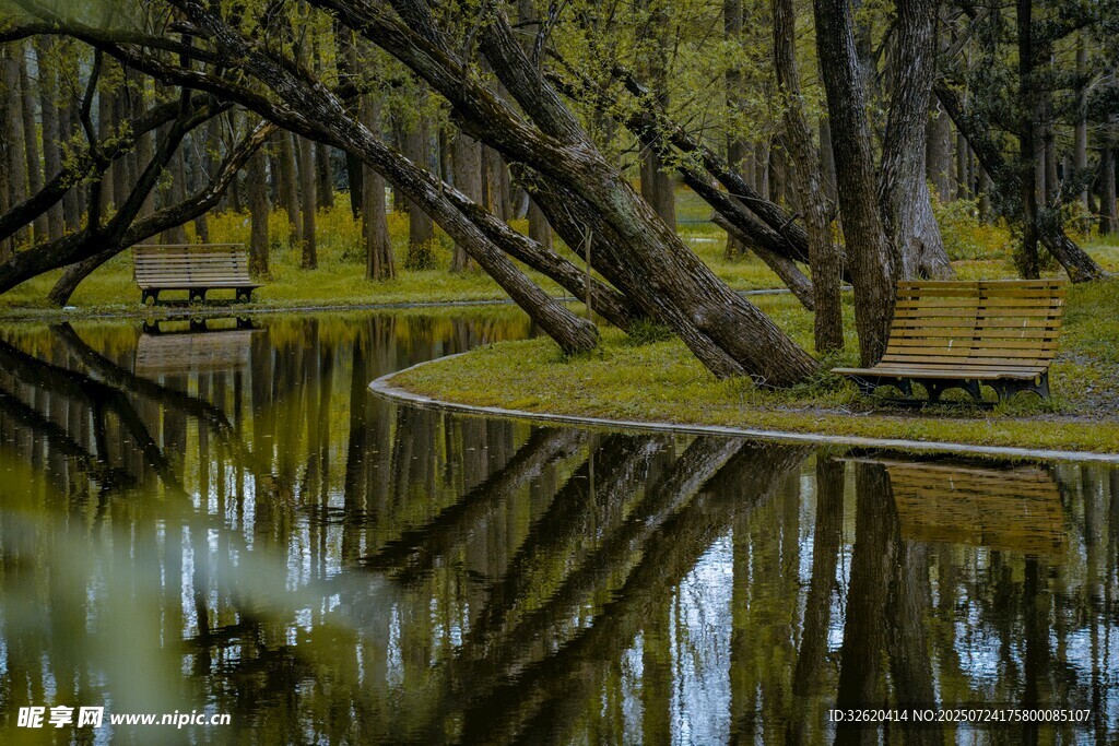 静谧林间倒影的清幽景致