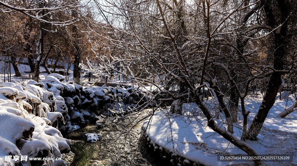 冬日雪覆溪流林间美景