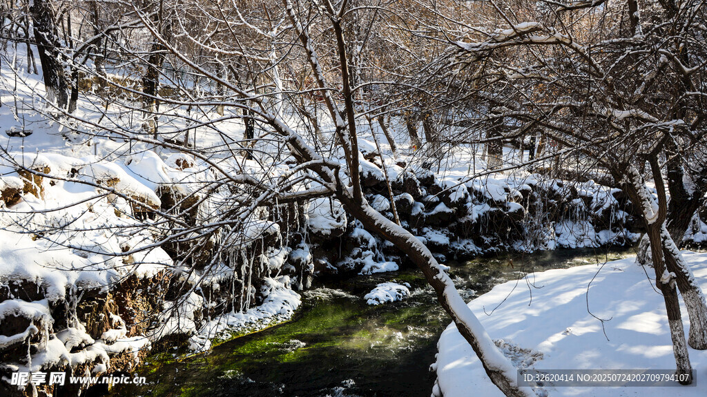 冬日雪覆山林溪流美景
