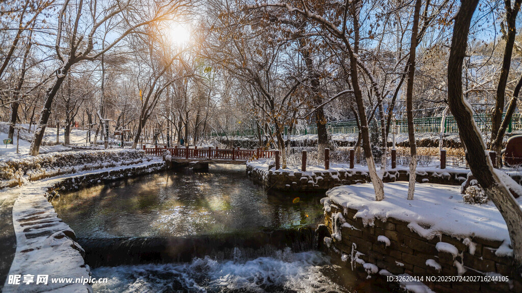 冬日雪覆河畔树林美景