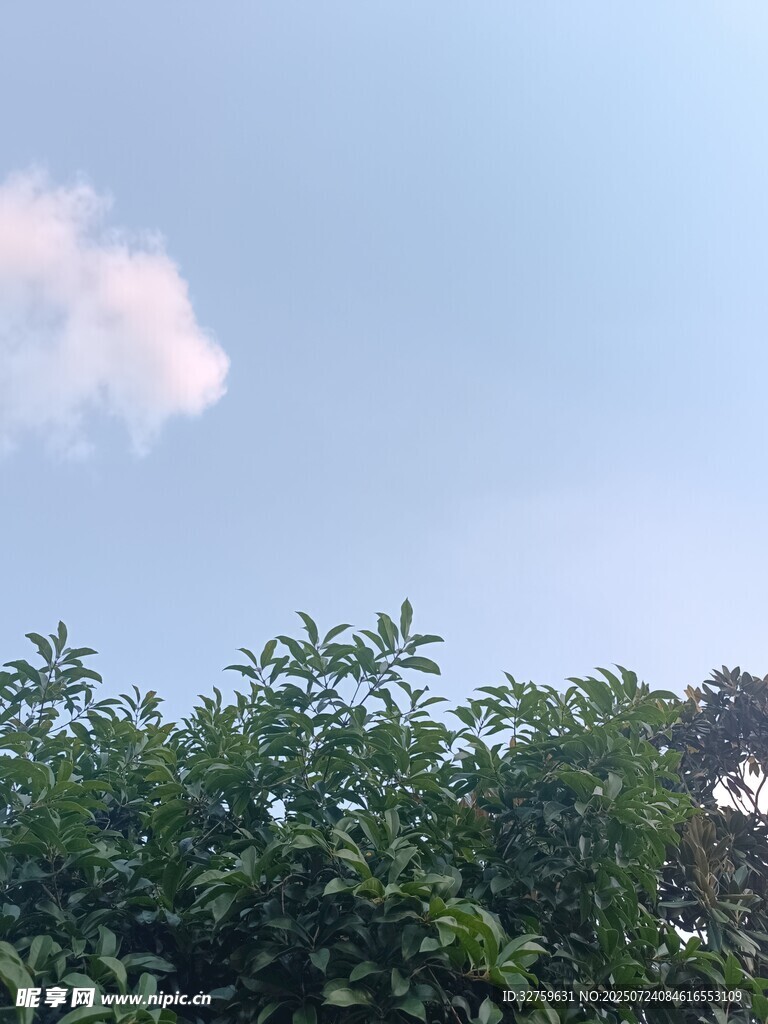 蓝天绿树间的白云