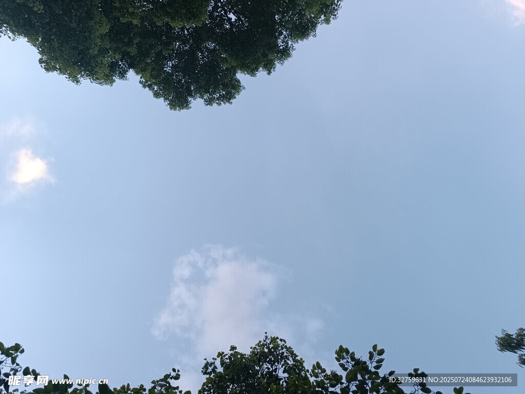 仰望蓝天绿树间的云朵