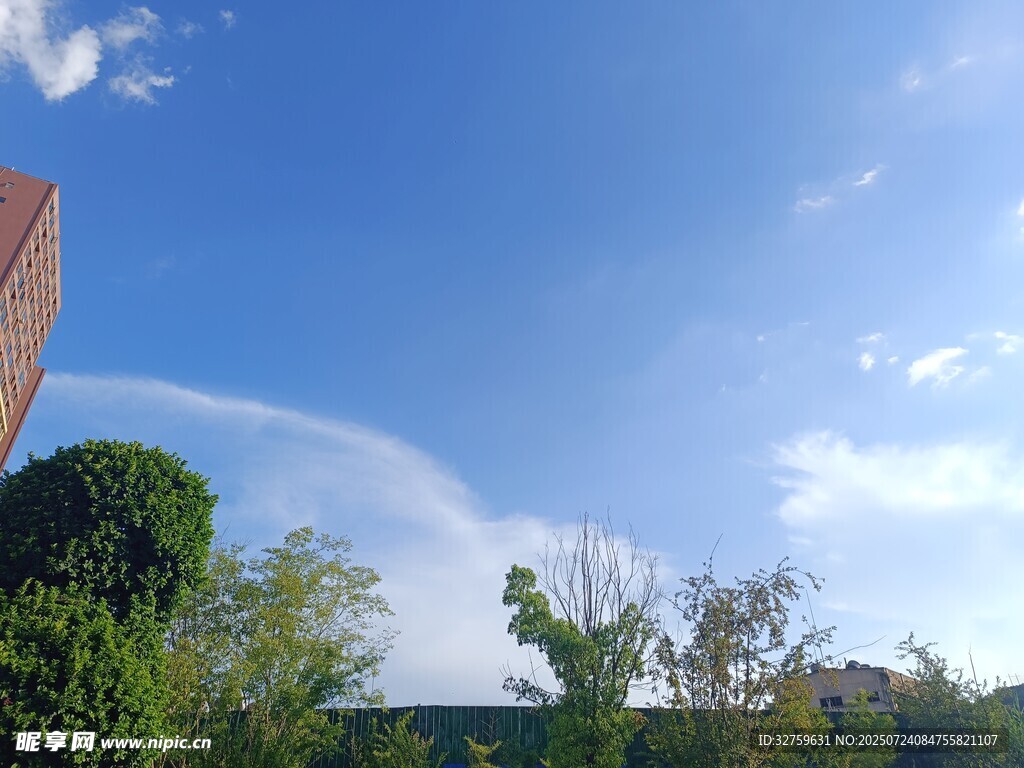 晴朗天空下的绿植与建筑